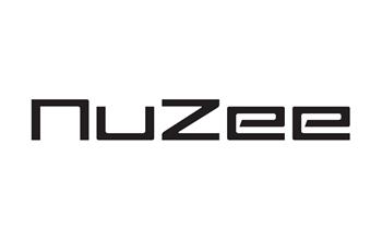 Investment losses in Nuzee Inc.?