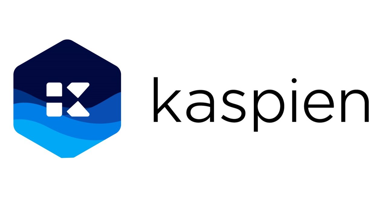 Investment losses in Kaspien Holdings Inc.?