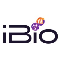 Investment losses in iBio, Inc.?
