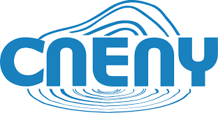 Investment losses in Cn Energy Group Inc.?