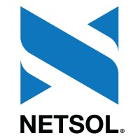 Investment losses in Netsol Technologies Inc.?