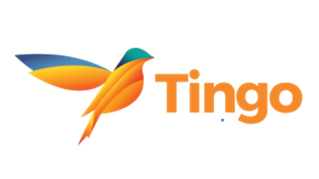 Investment losses in Tingo Group Inc.?