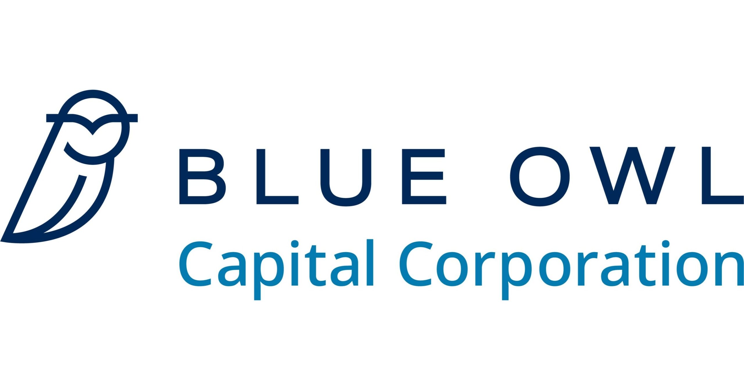 Investment Losses in Blue Owl Capital?